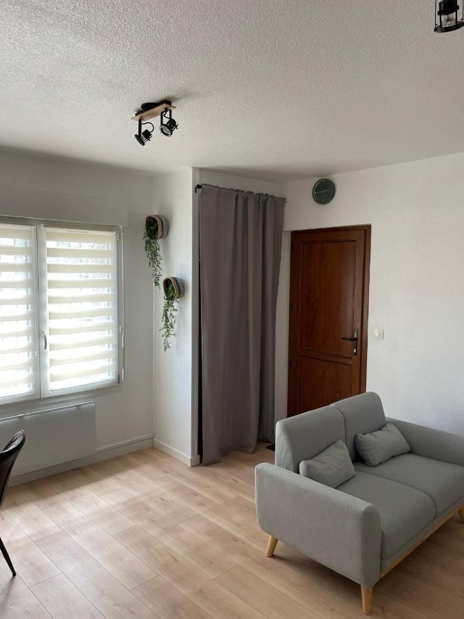 Appart Avec Chambre Lumineux Et Chaleureux Le Boulou Eksteriør bilde